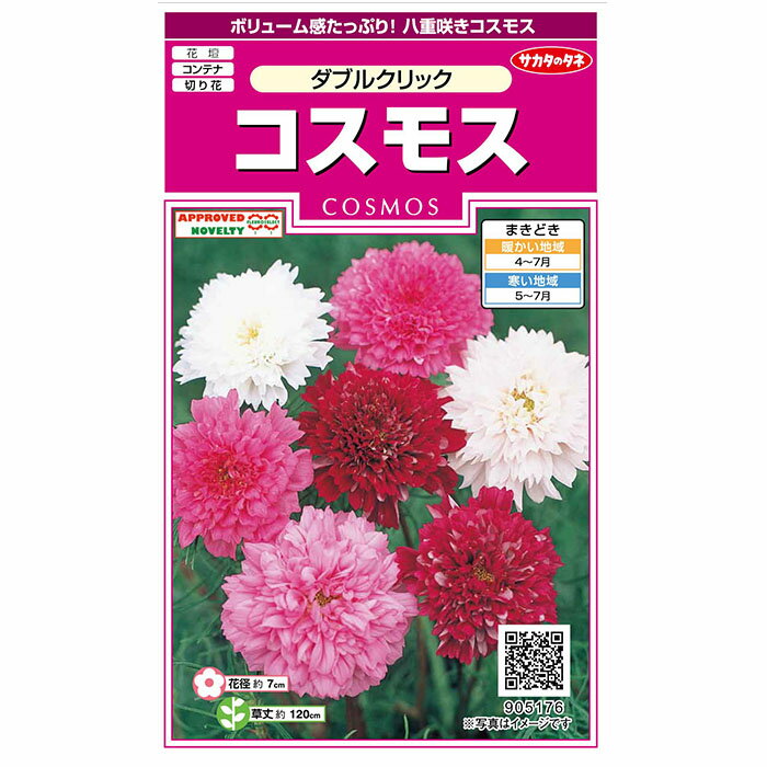 花の種　実咲花5176 コスモスダブルクリック サカタのタネ