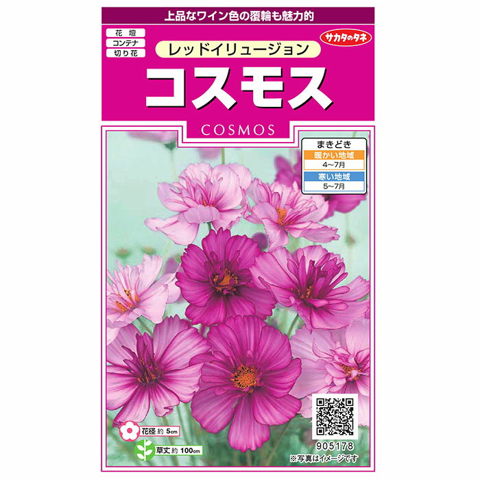 花の種 実咲花5178 コスモスレッドイリュージョン サカタのタネ