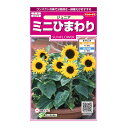 花の種 実咲花5629 ミニひまわりジュニア サカタのタネ