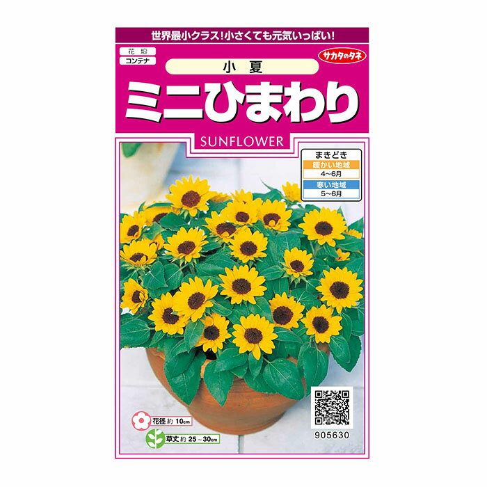 花の種 実咲花5630 ミニひまわり小夏 サカタのタネ