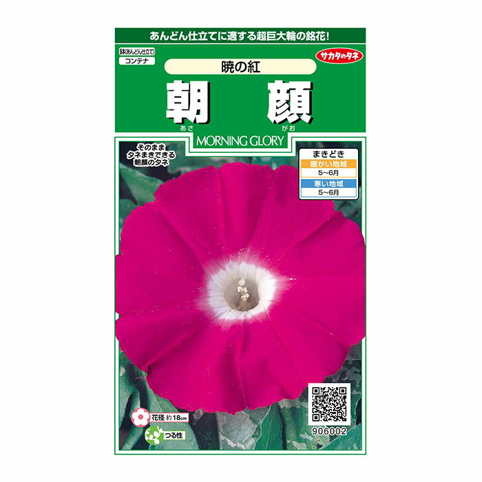 牵牛花 - 花の種　実咲花6002 朝顔暁の紅 サカタのタネ