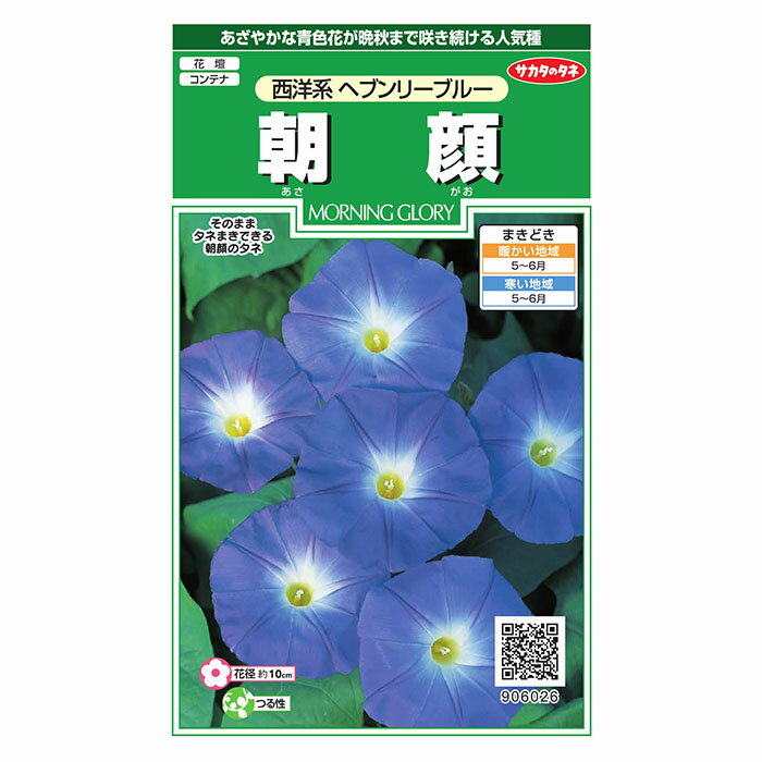 花の種　実咲花6026 朝顔西洋系ヘブンリーブルー サカタのタネ