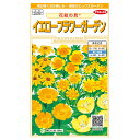 花の種 実咲花5903 花絵の具イエローフラワーガーデン サカタのタネ