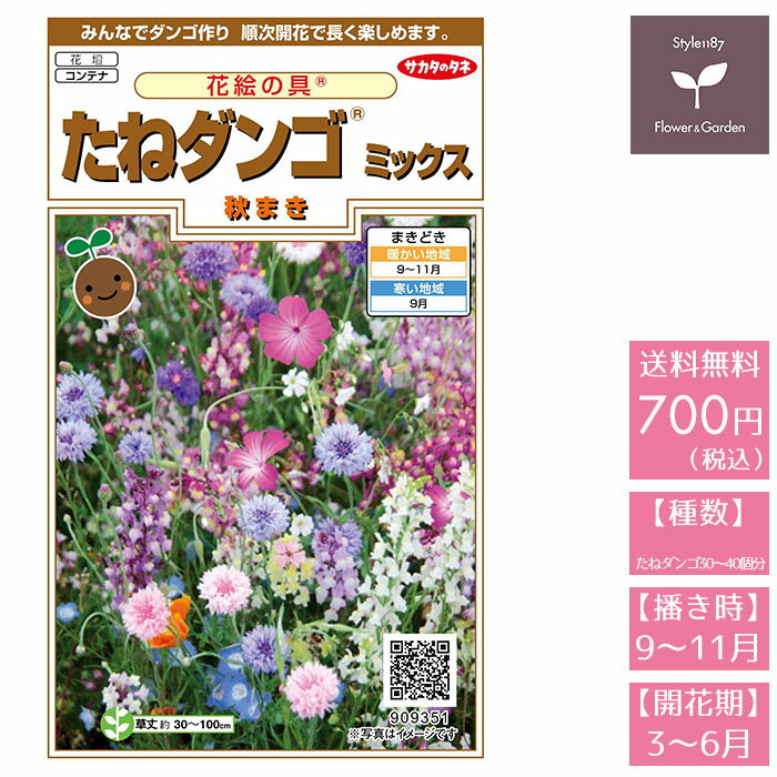 花の種　実咲花9351 花絵の具たねダンゴミックス（秋まき） サカタのタネのサムネイル