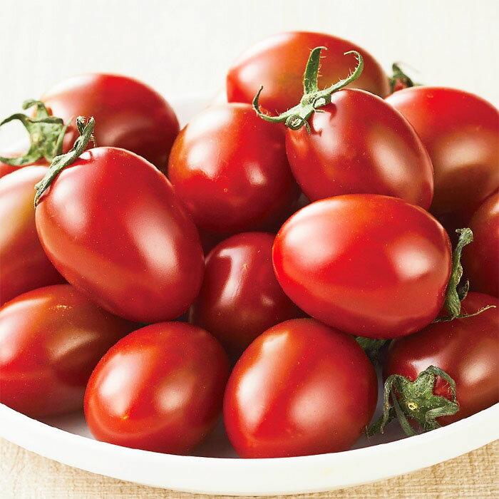 野菜の種　実咲野菜0110 ミニトマトチョコアイコ サカタのタネ