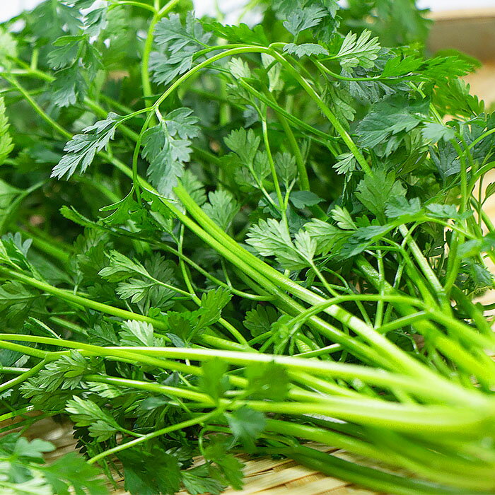 ��ڤμ�º�ϡ���8077 ���㡼�ӥ�ʥ���ե�����˥ϡ��� �������Υ���