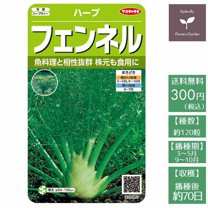 魚介類を使った料理との相性がよく 世界中で利用されています 葉は風味づけ 肥大した株元はサラダ タネは薬味 直営ストア ハーブティー 野菜の種 菓子に利用できます 実咲ハーブ80 サカタのタネ フェンネルハーブ