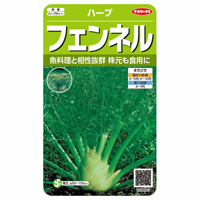 野菜の種　実咲ハーブ8083 フェンネ