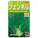 野菜の種 実咲ハーブ8083 フェンネルハーブ サカタのタネ