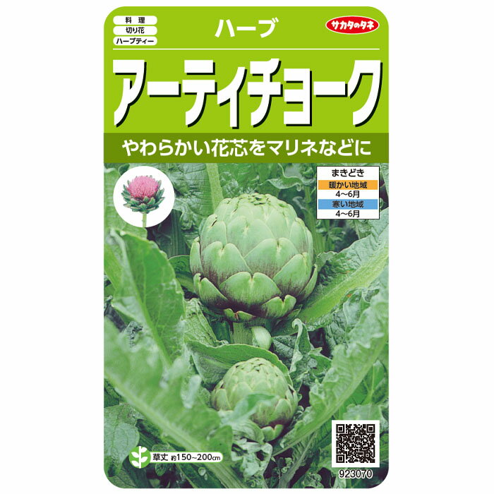 野菜の種　実咲ハーブ8091 アーティチョーク サカタのタネ