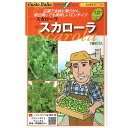 野菜のタネ スカローラ(エンダイブ) イタリアの珍しい種を送料無料でお届け!! トキタ種苗