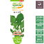 野菜の種 スピーディベジタブル30日〜ルッコラ サカタのタネ 250円