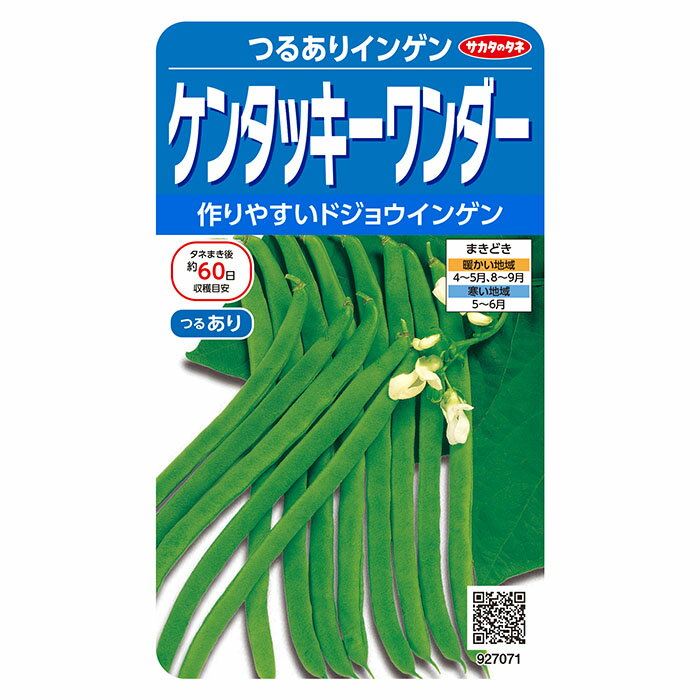 &nbsp; 実咲野菜7071 ケンタッキーワンダー つるありインゲン &nbsp; とれたての絶品の味をぜひご家庭で！ &nbsp; さやの形から「ドジョウ」とか「尺五寸」とも呼ばれています。莢は淡緑色、やや厚みのある平莢で、莢面に多少凹凸ができます。スジがなく、かたくなりにくいので、おいしく食べられます。 &nbsp; &nbsp; 商 品 詳 細 &nbsp; 内容量 : 30ml JAN : 4974449270712 &nbsp; 粒数 : 約50粒 園芸分類 : マメ科 &nbsp; 発芽率 : 80％ 耐暑性 : 中 &nbsp; 播き時【暖地】 : 4～5月、8～9月 日照 : 日向 &nbsp; 播き時【寒地】 : 5～6月 発芽地温 : 25℃前後 &nbsp; 収穫目安 : 播種後：約60日 株間 : 30～40cm &nbsp; &nbsp; &nbsp;