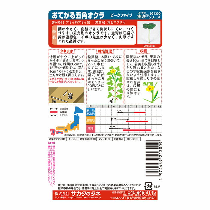 実咲野菜1300 おてがる五角オクラ ピークファイブ サカタのタネ