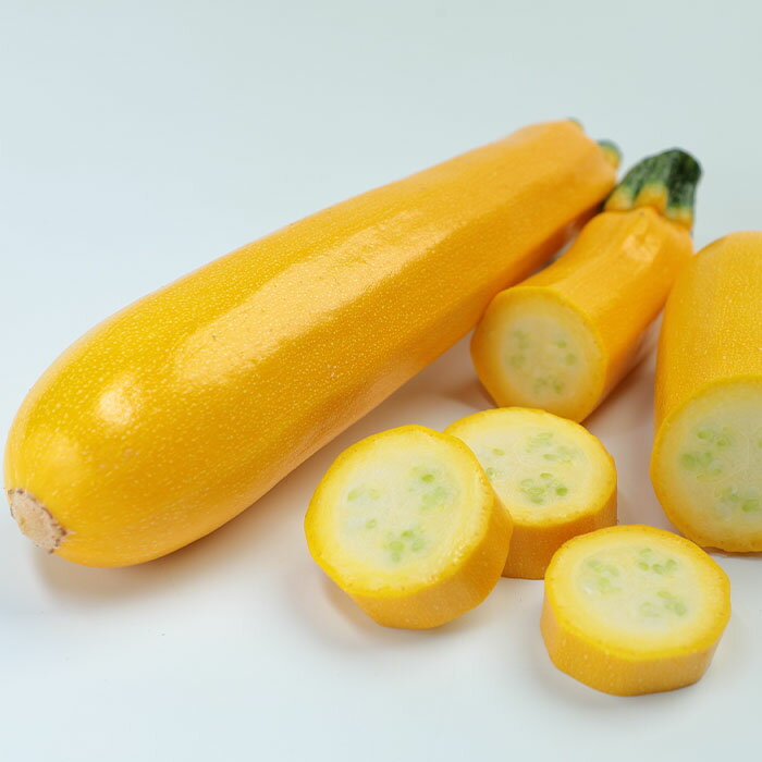 実咲野菜1106 イエローズッキーニ イエローヤングマン