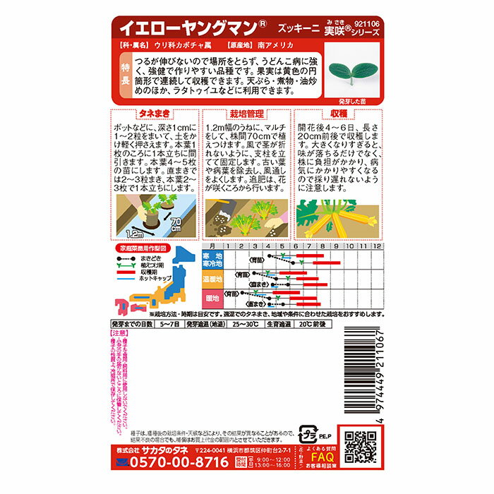 実咲野菜1106 イエローズッキーニ イエローヤングマン