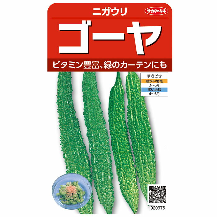 野菜の種　実咲野菜0976 ゴーヤ　ニガウリ サカタのタネ