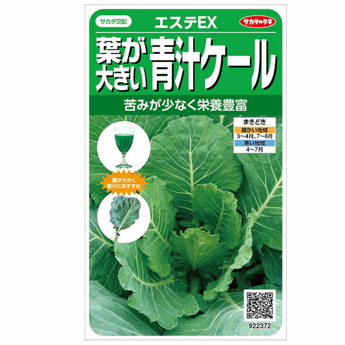 実咲野菜2372 青汁ケール　コラード