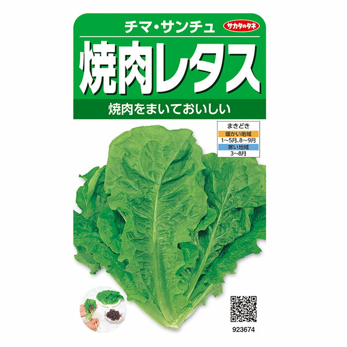 野菜の種　実咲野菜3674 焼肉レタス（緑）　チマ・サンチュ サカタのタネ