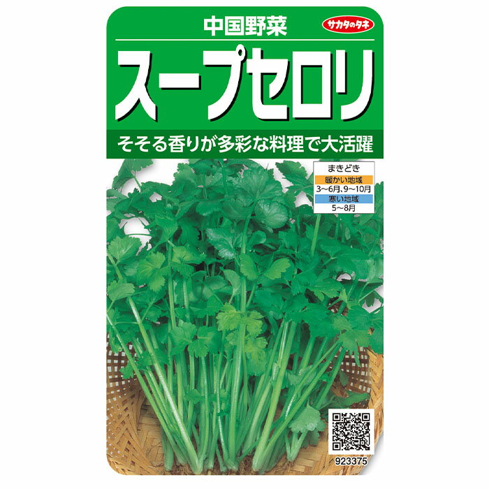 野菜の種　実咲野菜3375　スープセロリ サカタのタネ