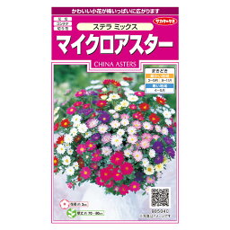 花の種　実咲花5040 マイクロアスター　ステラ　ミックス サカタのタネ