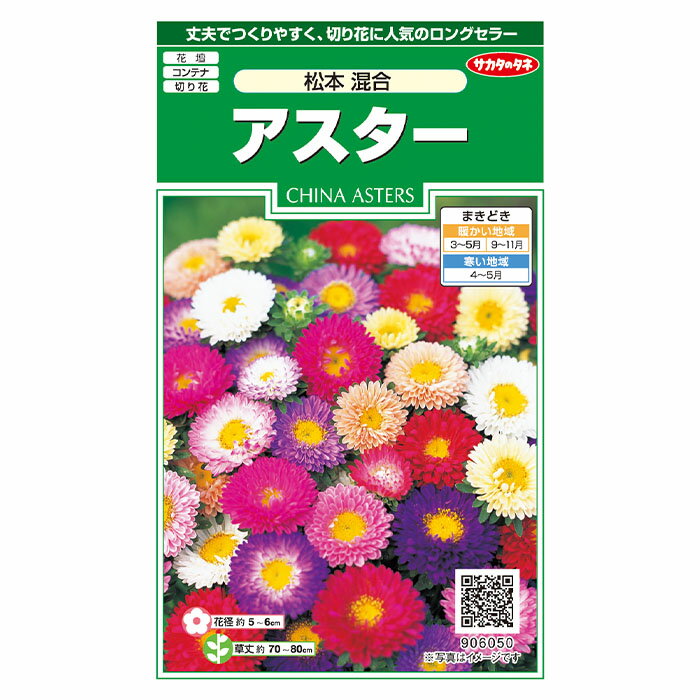 花の種　実咲花6050 アスター　松本　混合 サカタのタネ