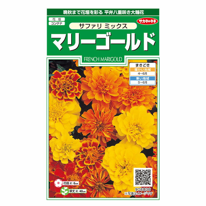 花の種 実咲花6836 マリーゴールド サファリミックス サカタのタネ