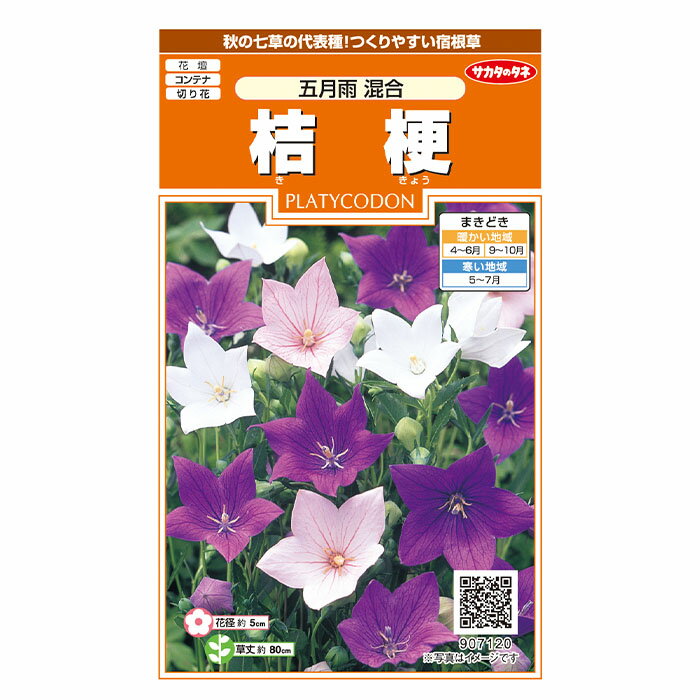 花の種 実咲花7120 桔梗 五月雨混合 サカタのタネ