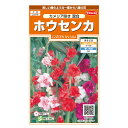 花の種 実咲花7590 ホウセンカ カメリア咲き混合 サカタのタネ