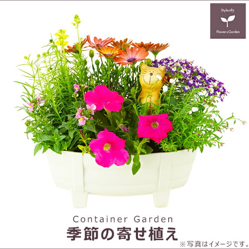 旬のお花がたっぷり。玄関やベランダに最適！置くだけで周りを華やか...