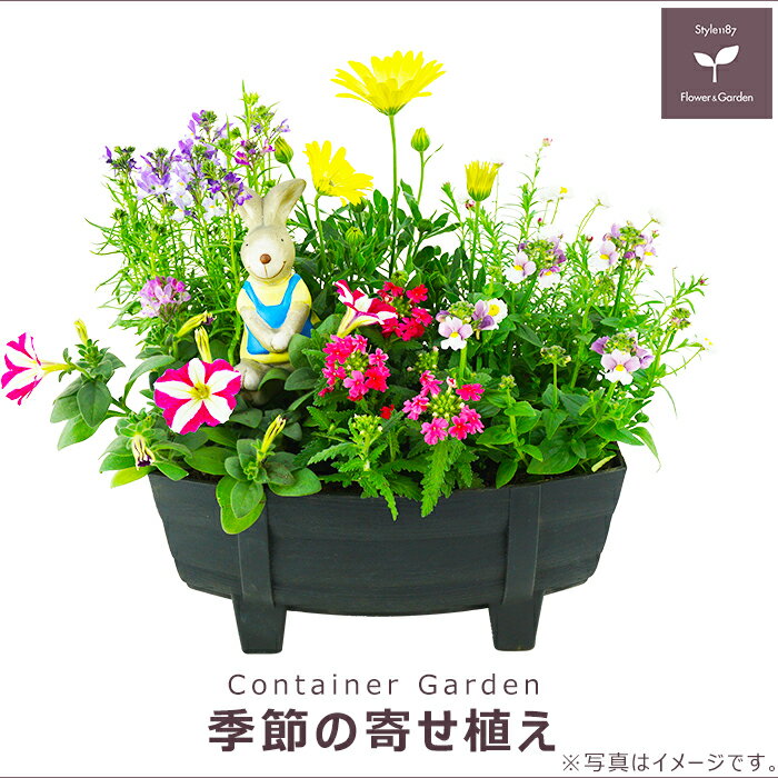 旬のお花がたっぷり。玄関やベランダに最適！置くだけで周りを華やか...