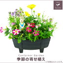 季節の寄せ植え 春 タル型鉢 黒 ギフトにも最適な季節のお花
