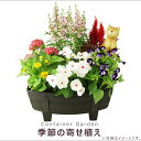 季節の寄せ植え 夏 タル型鉢 黒 ギフトにも最適な季節のお花を寄せ植えに。【ギフト プレゼント ガーデンピック 玄関 ベランダ 送料無料 沖縄・離島を除く】