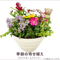 お買得！旬のお花がたっぷり。シンプルな丸型の鉢です。玄関...