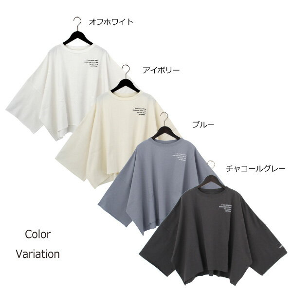 Tシャツ カットソー 長袖　ロゴプリント クルーネック 春　夏 天竺 オフライン コットン 綿100% トップス レディース オフホワイト アイボリー ブルー チャコールグレー