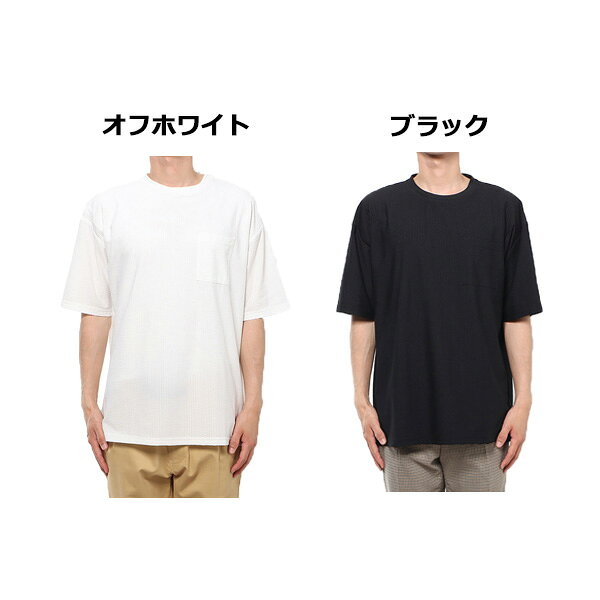 【取り寄せ対応】Tシャツ カットソー 半袖 無地 クルーネック カットサッカー トップス ユニセックス メンズ オフホワイト ブラック