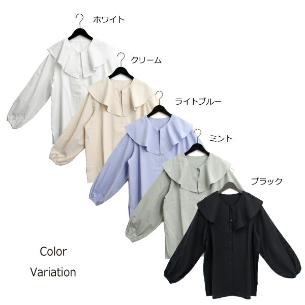 シャツ ブラウス 無地 ビッグカラー コットン 綿100% 長袖 白 黒 トップス レディース ホワイト クリーム ライトブルー ミント ブラック