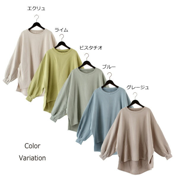 カットソー プルオーバー 長袖 無地 裏起毛 ドルマンスリーブ 秋 クルーネック トップス レディース エクリュ ライム ピスタチオ ブルー グレージュ