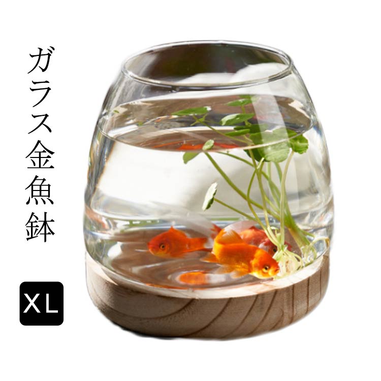 メダカ おしゃれ 金魚 ガラス金魚鉢 容器 室内 水槽 創作卓上金魚鉢 おしゃれ ミニ水槽 金魚水槽 小さな水槽 鉢 小さな丸い透明なガラス花瓶 木製ベース付きデスクトップ水槽 観賞植物ホルダー 水耕植物花瓶 おしゃれ 小シンク 金魚鉢 ガラス 室内花瓶 XL