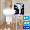 LED電球 E26口金 レフ電球タイプ 60W相当 消費電力6.5W 昼光色(650lm)
