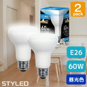 【2個セット・1個あたり439円】LED電球 E26口金 レフ電球タイプ60W相当 消費電力5W 昼光色(520lm)