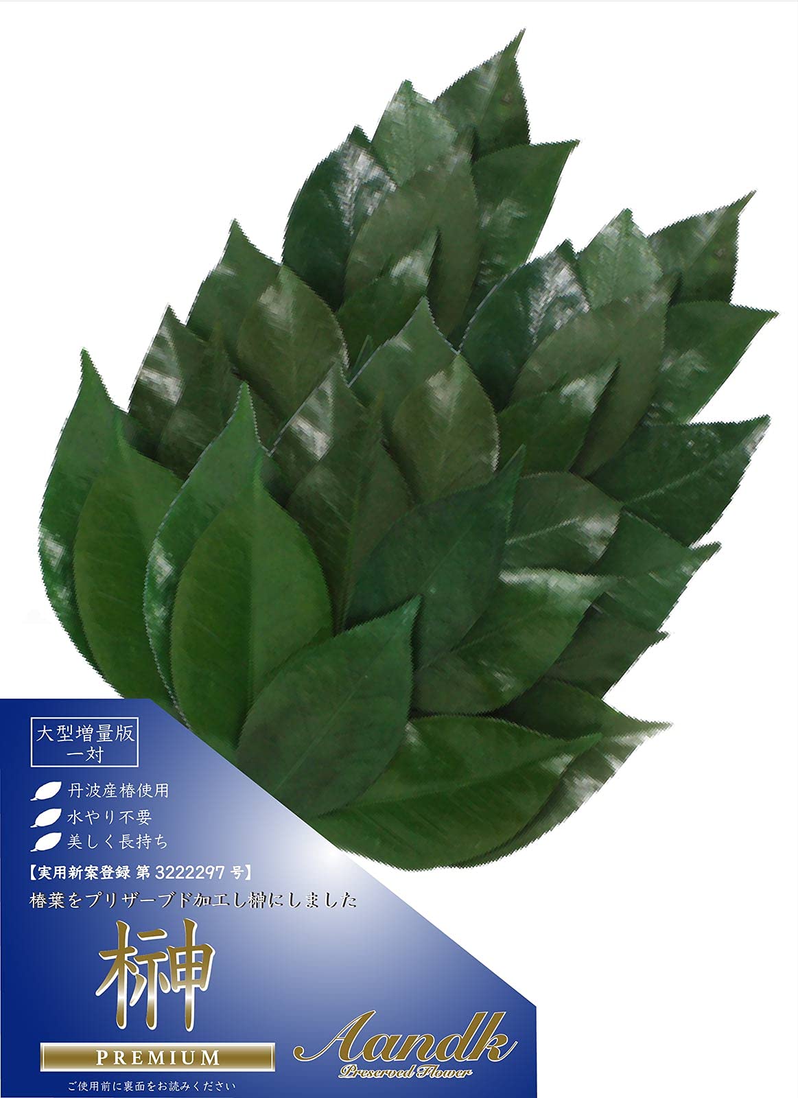 【まとめ買いで最大1000円OFFクーポン!】【送料無料】プレミアム 榊 プリザーブド (Mサイズ椿葉増量版 / 1対 / 約高さ34cm x 幅14cm) 丹波産 高級椿葉使用 神棚 お供え用 さかき