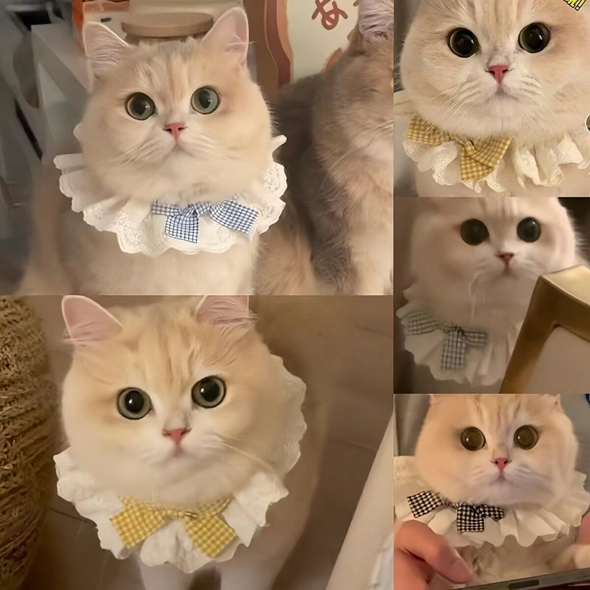猫レースカラー よだれかけ ペット猫用ちょう結びカラー 調整可能 犬猫兼用 かわいくて快適なペットカラー ペット装飾 ペットアクセサリー プリンセススタイル チェックリボンカラー 猫用品