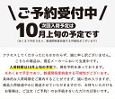 【送料無料※沖縄除く】THULE（スーリー） フォレスター用ベースキャリア（ウイングバーエッジ9582）+スキーキャリア スノーパック7322 25cm幅 ルーフレール付き H24/11〜 SJ5