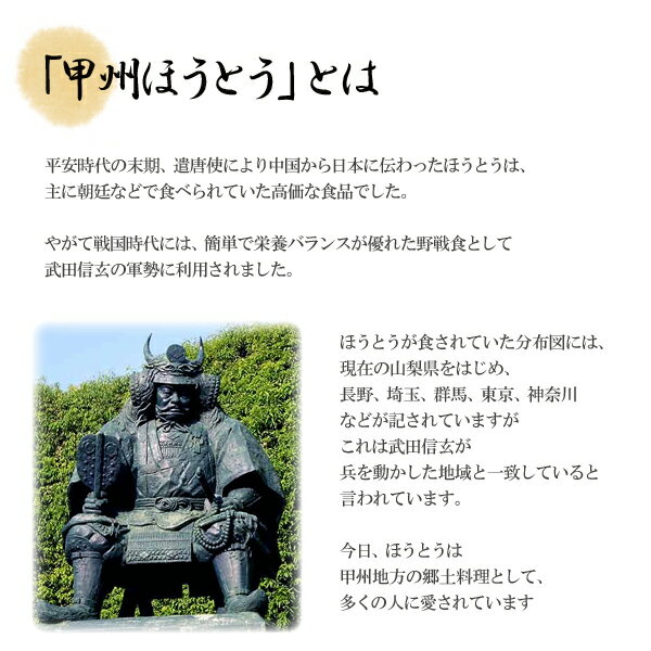 【送料無料※沖縄除く】【代引不可】ほうとう 9人前セット（3人前×3袋）もちもち生麺！クセになる美味しさ！平井屋 山梨名物 みそスープ付き ギフトにもおすすめ ご当地グルメ