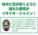 【送料無料※沖縄除く】花咲かG タンククリーナー 1L+ラストリムーバー 300ml サビ取り剤 錆取り剤 サビ落とし 錆落とし サビ止め 錆止め 防錆剤 金属磨き 車 バイク 自転車 洗車 補修 2