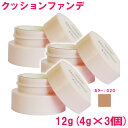 【並行輸入品】 ディオール カプチュール トータル ドリームスキン クッション Dreamskin perfect skin cushion #020 箱なし 12g(4g×3個)