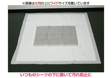 【3月13日以降順次発送予定】大判サイズシーツ80枚(20枚入×4個入)|ペットシーツ ペットシート トイレシート ペット シーツ スタイルプラス おしっこシート 犬 トイレ シート おしっこ トイレシーツ 大判 大型犬 オシッコシート 犬用トイレシート 犬用トイレシーツ