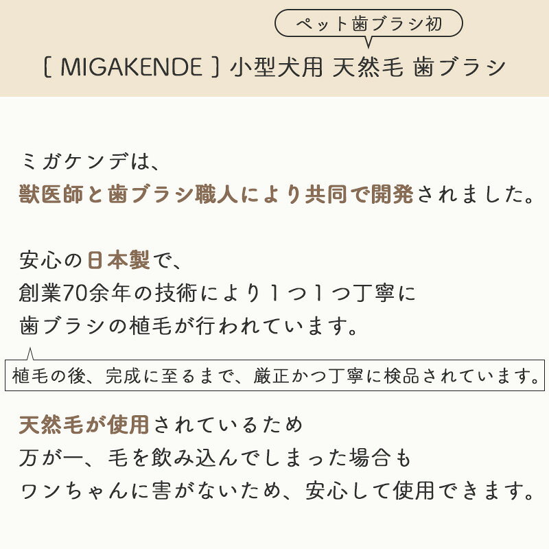 ペットシーツ専門店スタイルプラスのMIGAKENDE　小型犬・中型犬用　天然毛歯ブラシ　ミガケンデ　ウマ植毛柔らか　日本製　獣医師共同開発　超小型犬　小型犬　中型犬　柔らかタイプ　ハブラシ　歯磨き　歯みがき　ハミガキ　国産｜アングル3