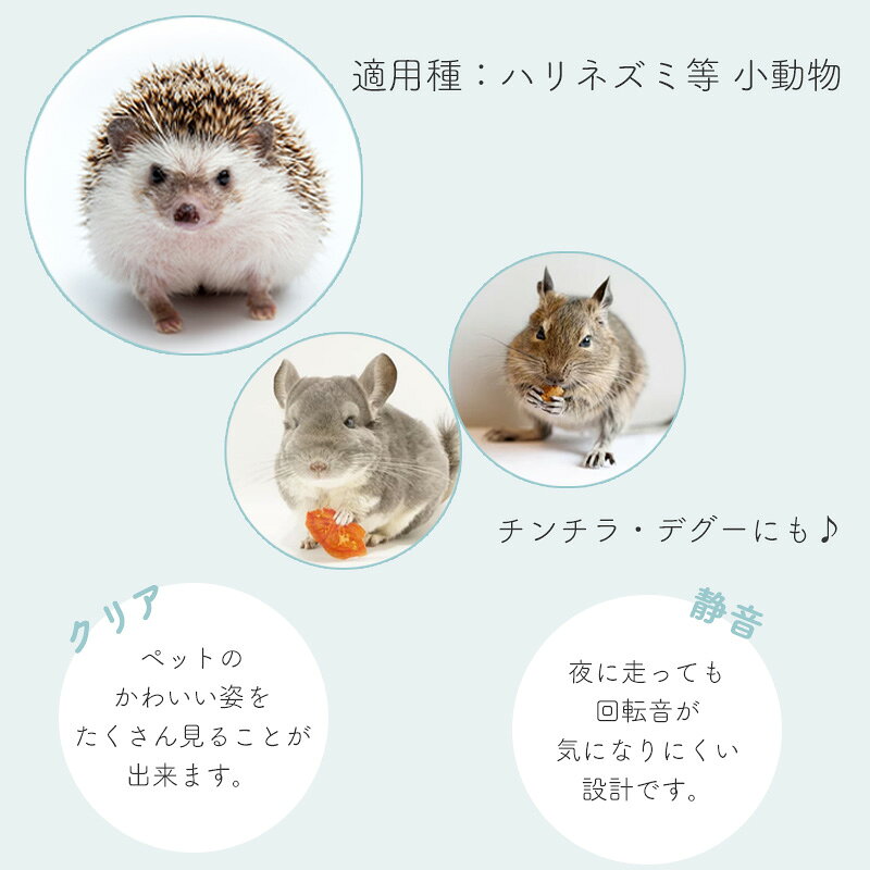 GEX　Harmony　ハーモニーホイール30回し車　小動物　ハリネズミ　チンチラ　デグ...